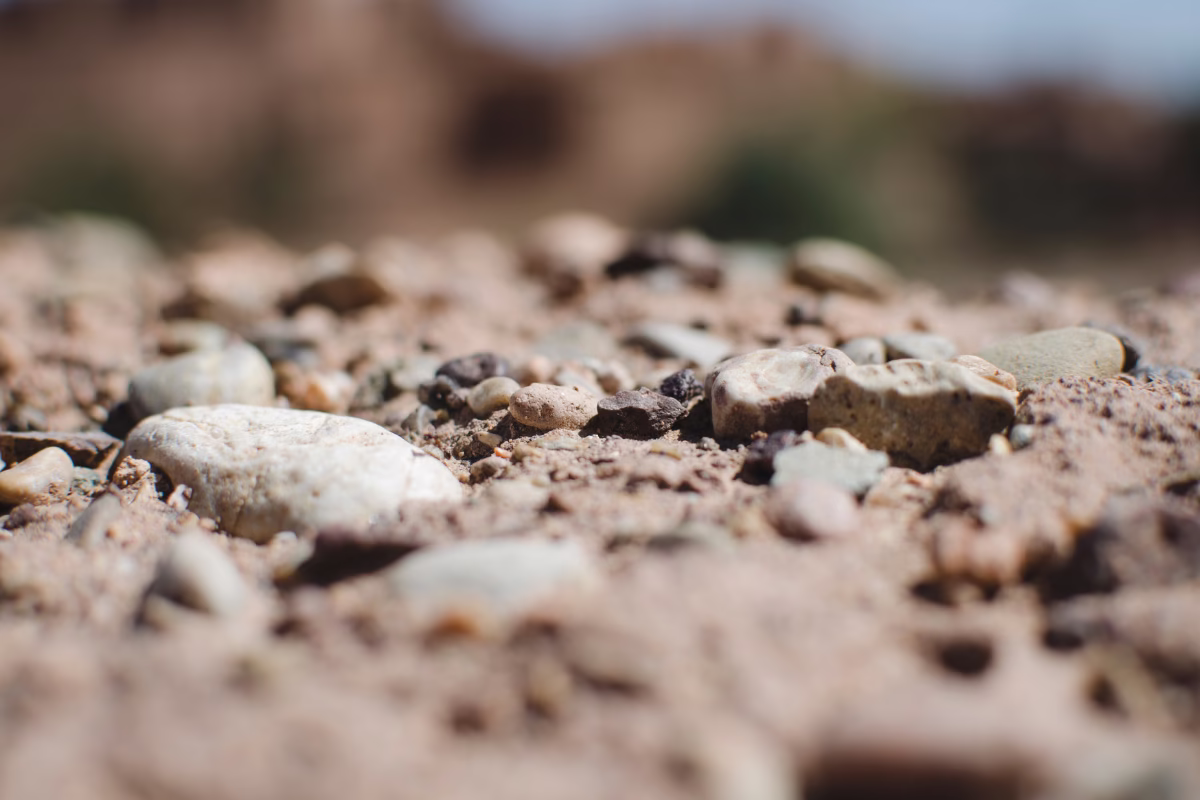 torrsugning - GDL Anläggning och Miljö